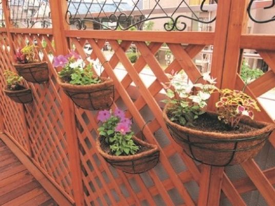 木製ラティスと植物のテラス