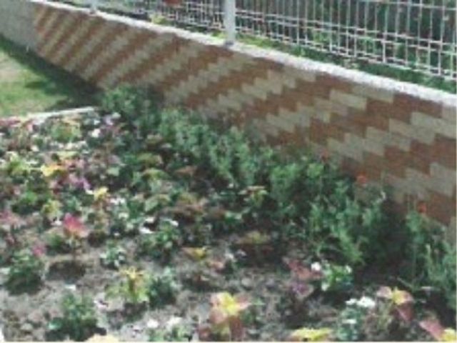 緑豊かな施設の庭 ガーデンスペース 四季折々の花々が植えられた、彩り鮮やかな庭です。利用者様が花の世話をしながら、潤いある時を過ごせる環境です。