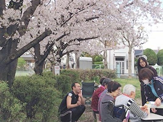 桜下でのレクリエーション