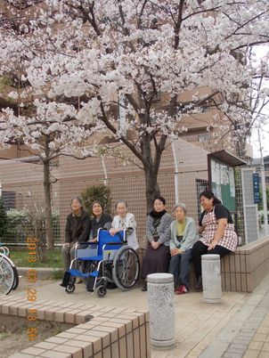 桜の木と共に笑顔の集い