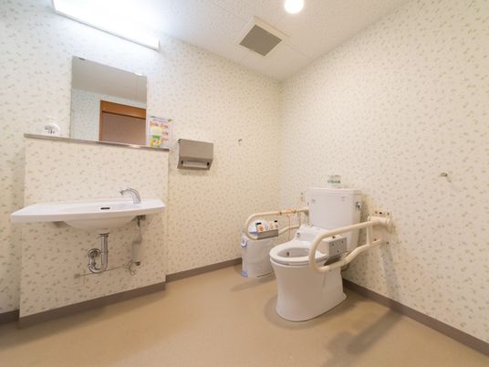 スペースの広いトイレで、白を基調として清潔感がある。手すり付きの便座と手洗い場があり、ゆったり使用できる。