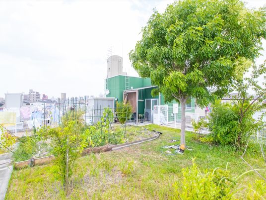 施設の屋上には植栽が施されていて、身近に緑を感じられる空間になっている。また、野菜などを育てることができる菜園も用意されている。