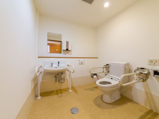 白い壁のスペースに座面幅の広い温水洗浄便座がある。便器と手洗い器の両サイドに白い手すりがある。手洗い器の前の壁に鏡がある。