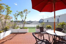 テラスと植物の様子