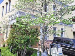 青空と緑のエントランス