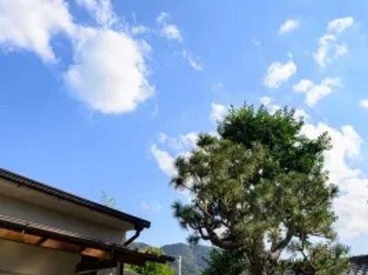 空と木が見える庭  