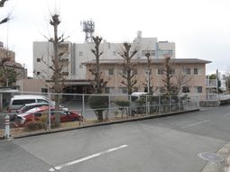 落葉樹と建物の外観
