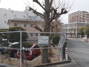 閑静な街並みの看板