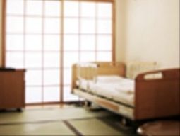 和室風の居室