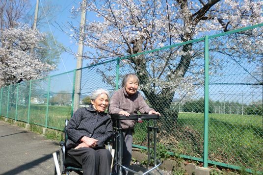 笑顔の高齢者と桜の木