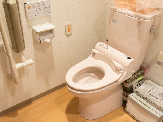 手すり付き清潔なトイレ