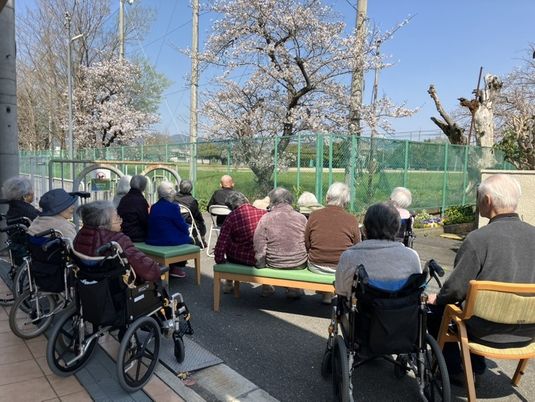 桜を楽しむ庭