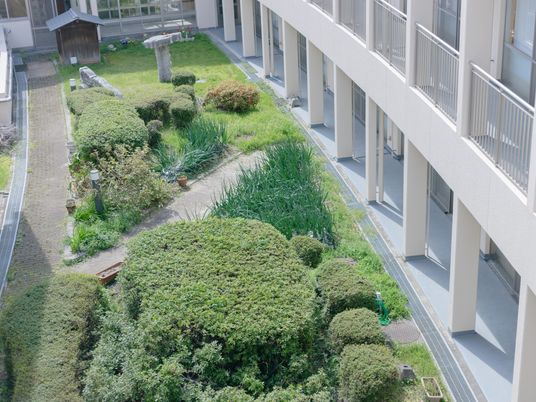 中庭の緑と通路  