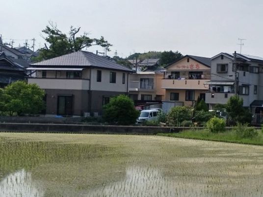 緑の田んぼと建物の外観