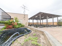 中庭の植物とベンチ
