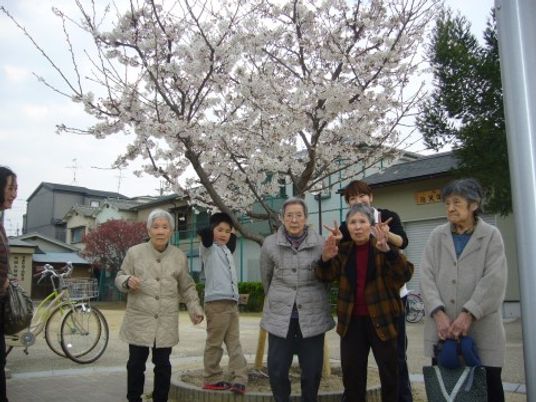 桜の下で笑顔の集合