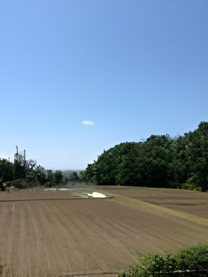 晴れた空と広い土地