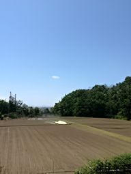 広々とした明るい中庭