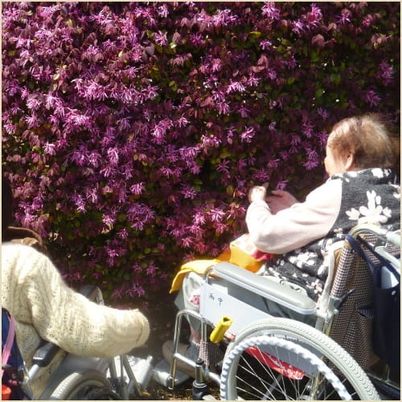 花を楽しむ人々の様子