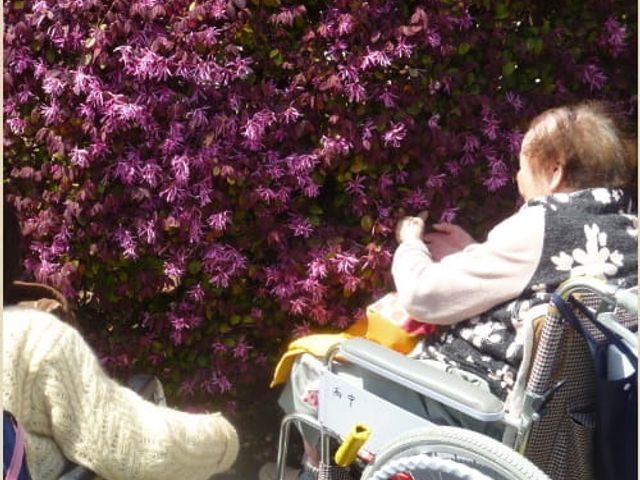 花を楽しむ人々の様子 庭 車椅子の方が花々を楽しんでいる庭です。自然に触れながらリラックスできる空間です。