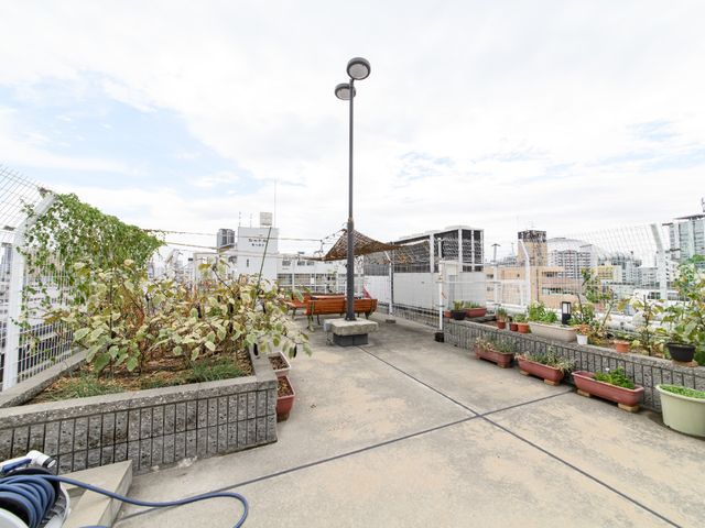 中庭の明るい風景 屋上 庭園のような中庭で、静かな時間を過ごすことができます。緑あふれるこの空間は、心を落ち着かせるのに最適です。
