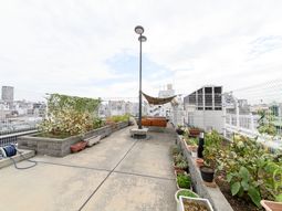 屋上庭園の風景