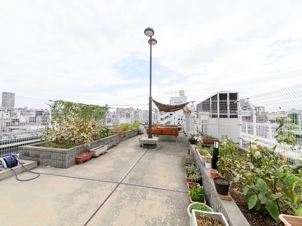 屋上庭園の風景