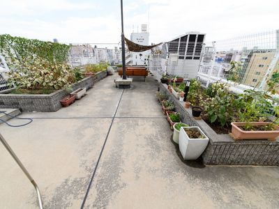 屋上庭園の様子