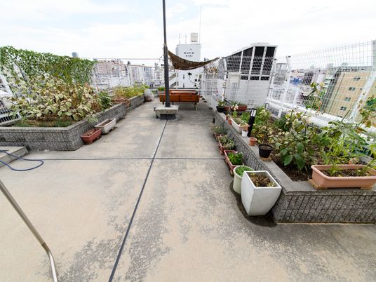 菜園になっている寛げる空間の屋上は、床がコンクリートアスファルトになっていて、周りはフェンスで囲まれている。