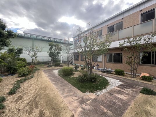 緑いっぱいの庭