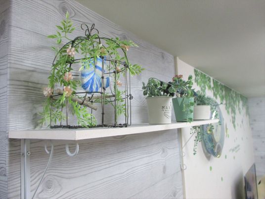 壁掛けの植物デコレーション