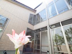 建物と植物のエントランス