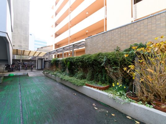 中庭の植栽と自転車置き場