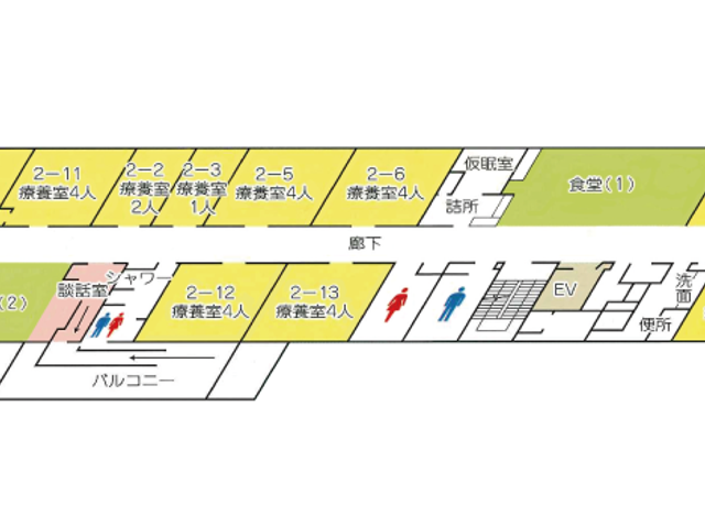 明るい室内の廊下 廊下 廊下には自然光が差し込み、居室へのアクセスが快適にできるようデザインされています。