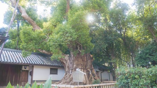 歴史ある庭園