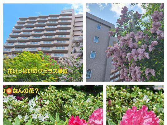花と建物の外観  