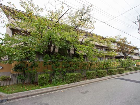 緑に囲まれた建物外観