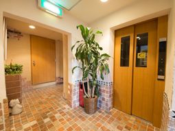 茶色い扉と観葉植物の廊下