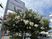 施設看板と花木の外観  