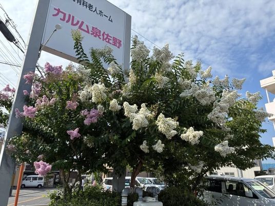 施設看板と花木の外観  