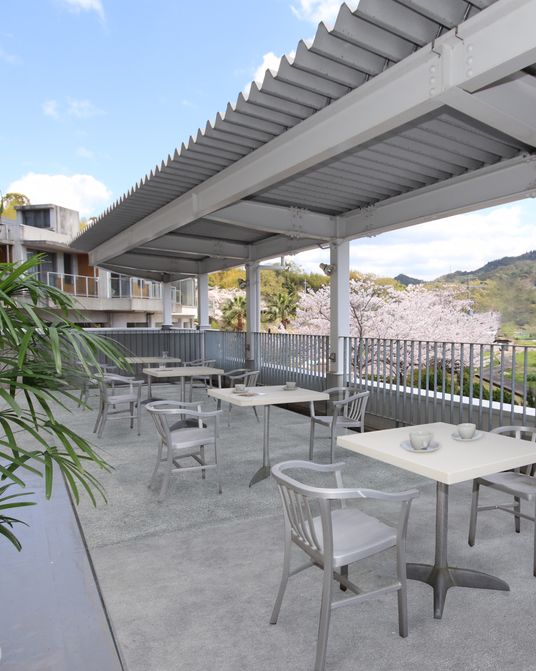 桜の見えるテラス