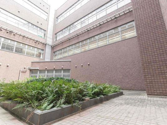 中庭の植栽と建物  