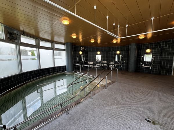 浴室の手すり付き浴槽  