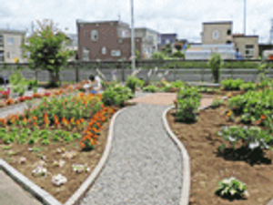 花が咲く小道の庭