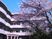桜と建物の外観  