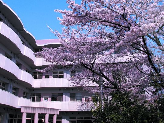 桜と建物の外観  