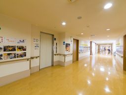 掲示物が飾られた廊下