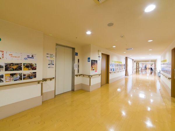 掲示物が飾られた廊下