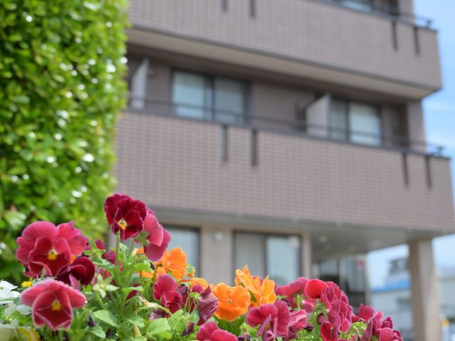 明るい外観の建物正面 外観 清潔感のある建物前には植物が丁寧に手入れされ、入り口は解放感のある設計になっています。