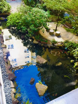 落ち着いた中庭の風景